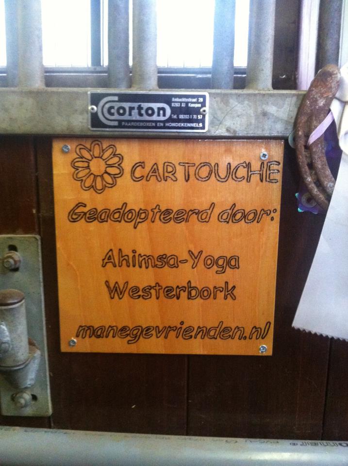 417867_154860394695707_748109076_n